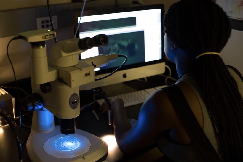 NIH AREA Grant