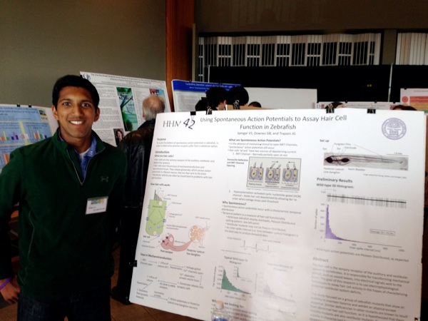NEURON 2013 Poster 2