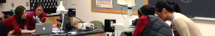 Neurophysiology Lab