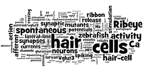 Trapanilab Wordle